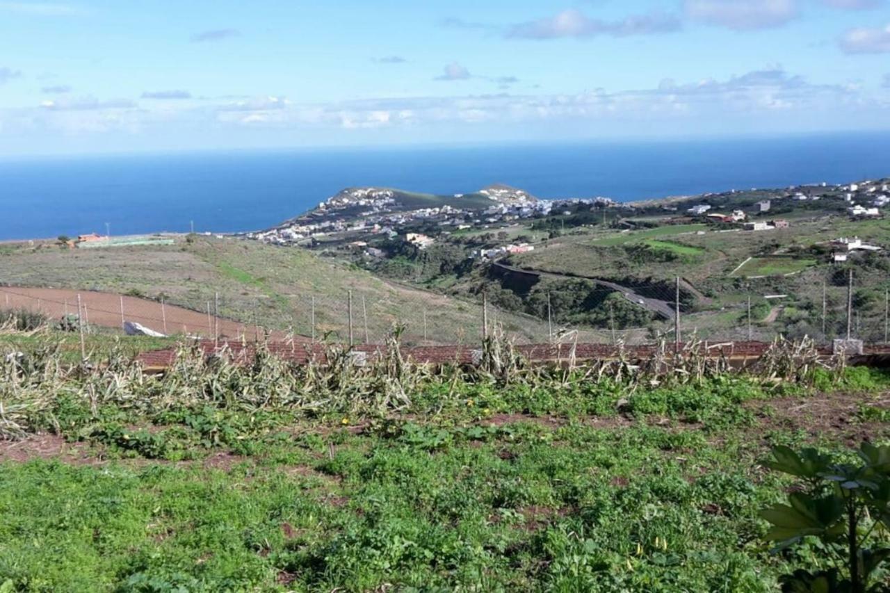 Casa Cueva Villa Aday Santa Maria de Guia de Gran Canaria Ngoại thất bức ảnh