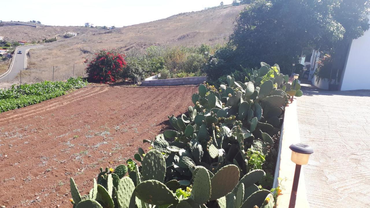 Casa Cueva Villa Aday Santa Maria de Guia de Gran Canaria Ngoại thất bức ảnh